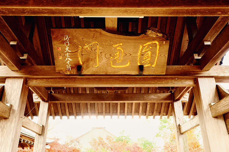 境内の風景